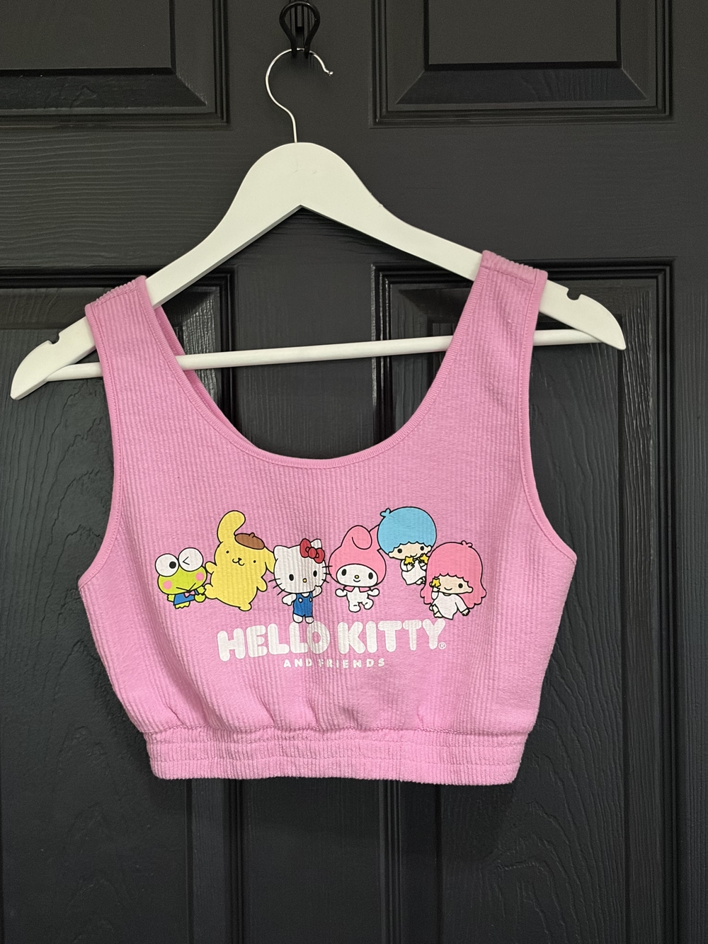 Sanrio Hello Kitty and Friends Sleeveless Ribbed Graphic Crop Top Pink S